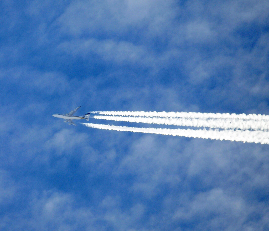 Overfly1.jpg