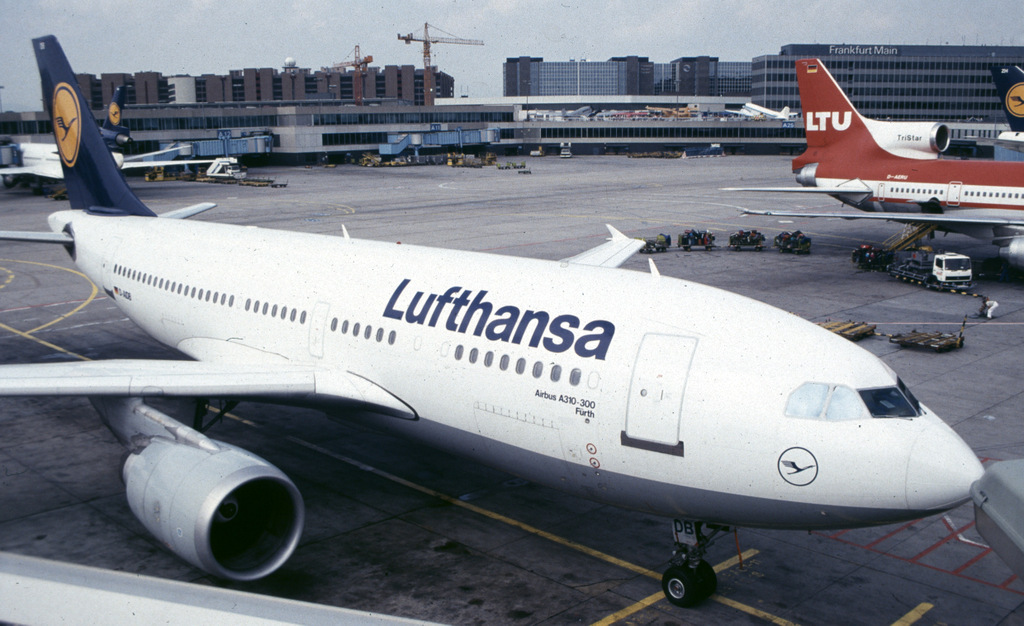 D-AIDB(2).jpg