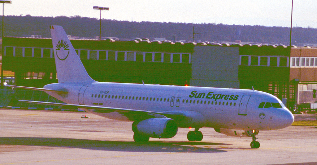 EI-TLF(2).jpg