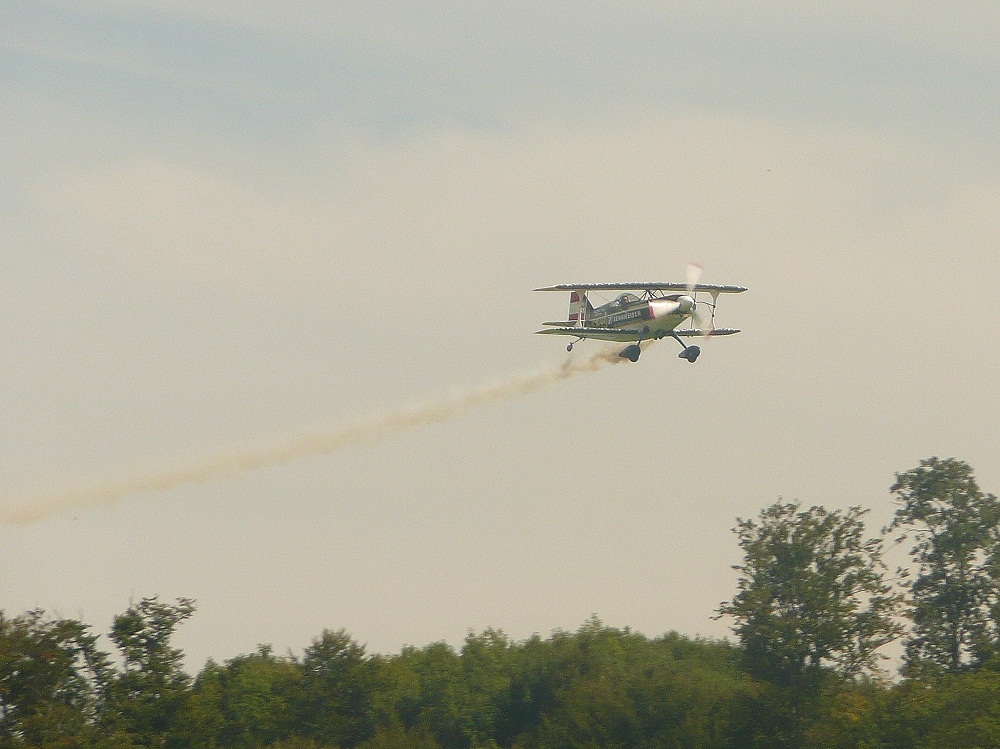 Pitts