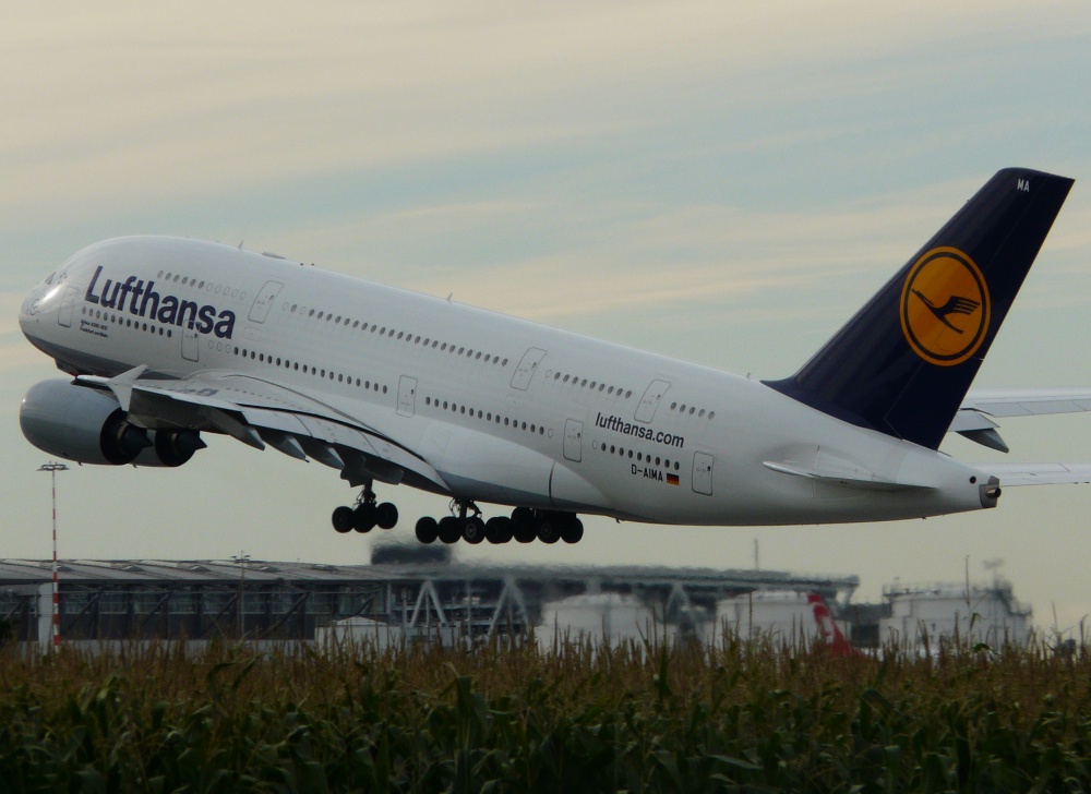P1430709_1000_728[1].jpg
