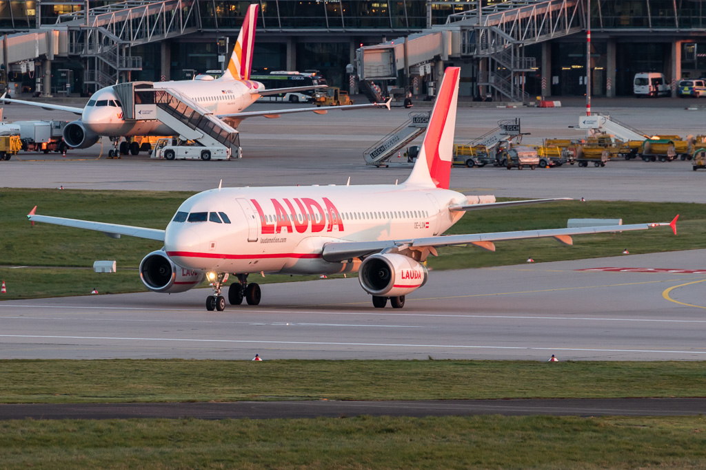OE-LOM.jpg
