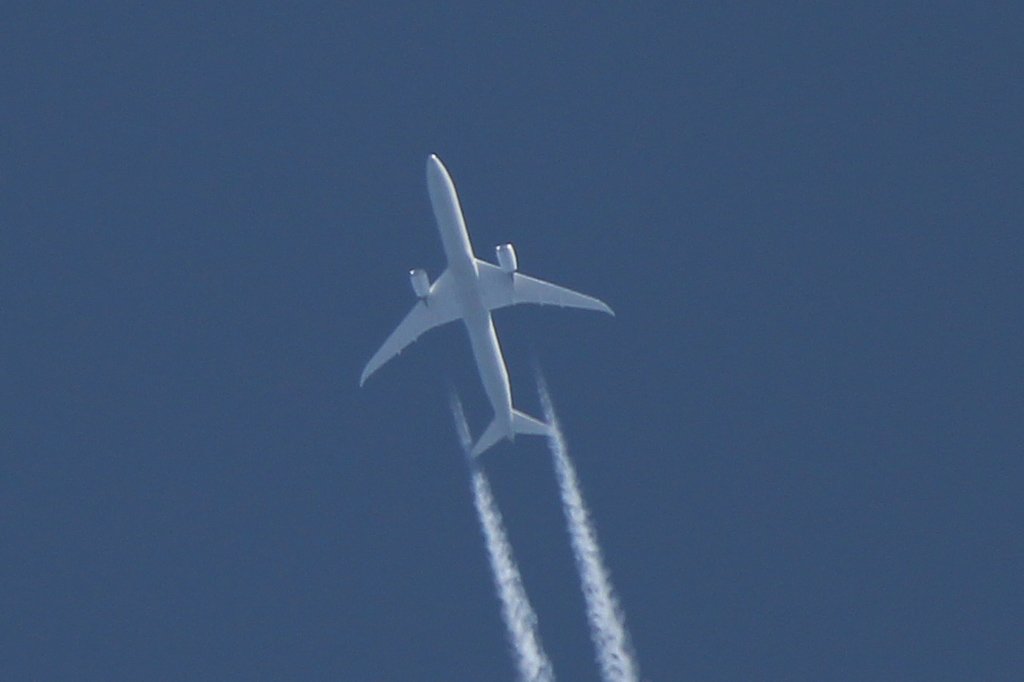N12006.jpg