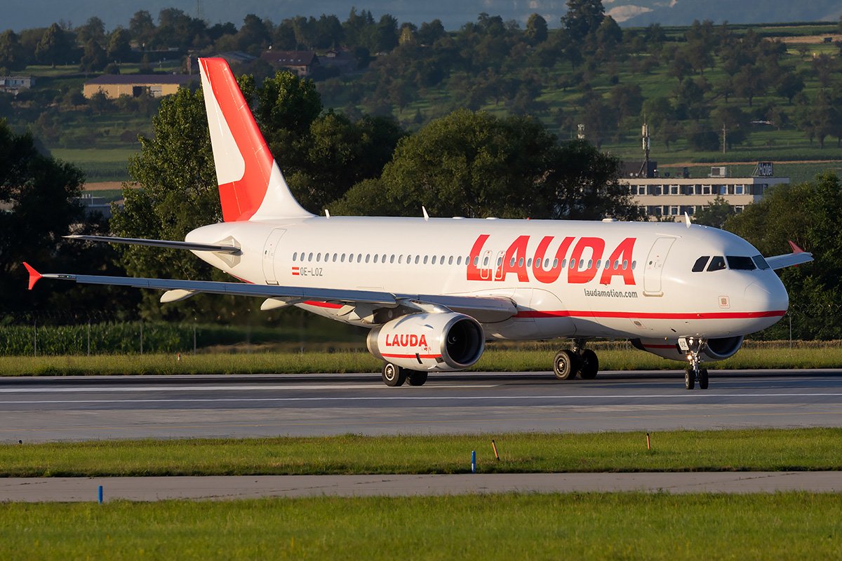 OE-LOZ.jpg