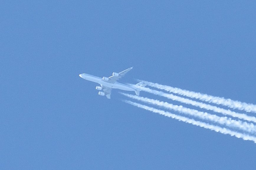 DSC_9838.jpg
