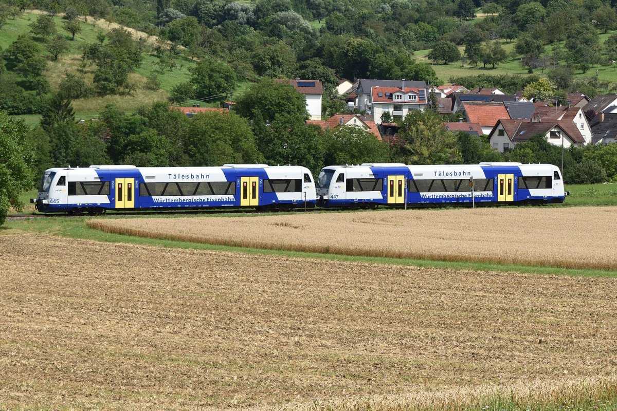 DSC_3201.jpg