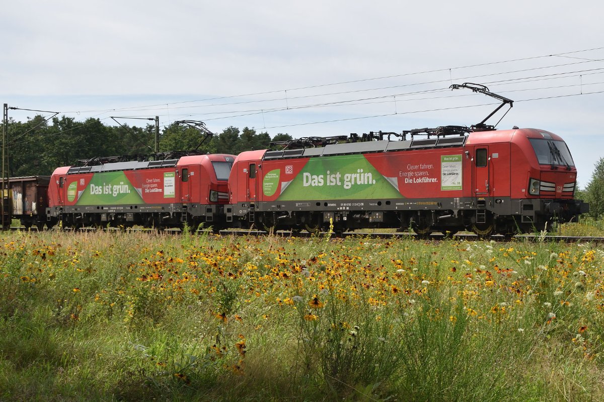 DSC_5127.jpg