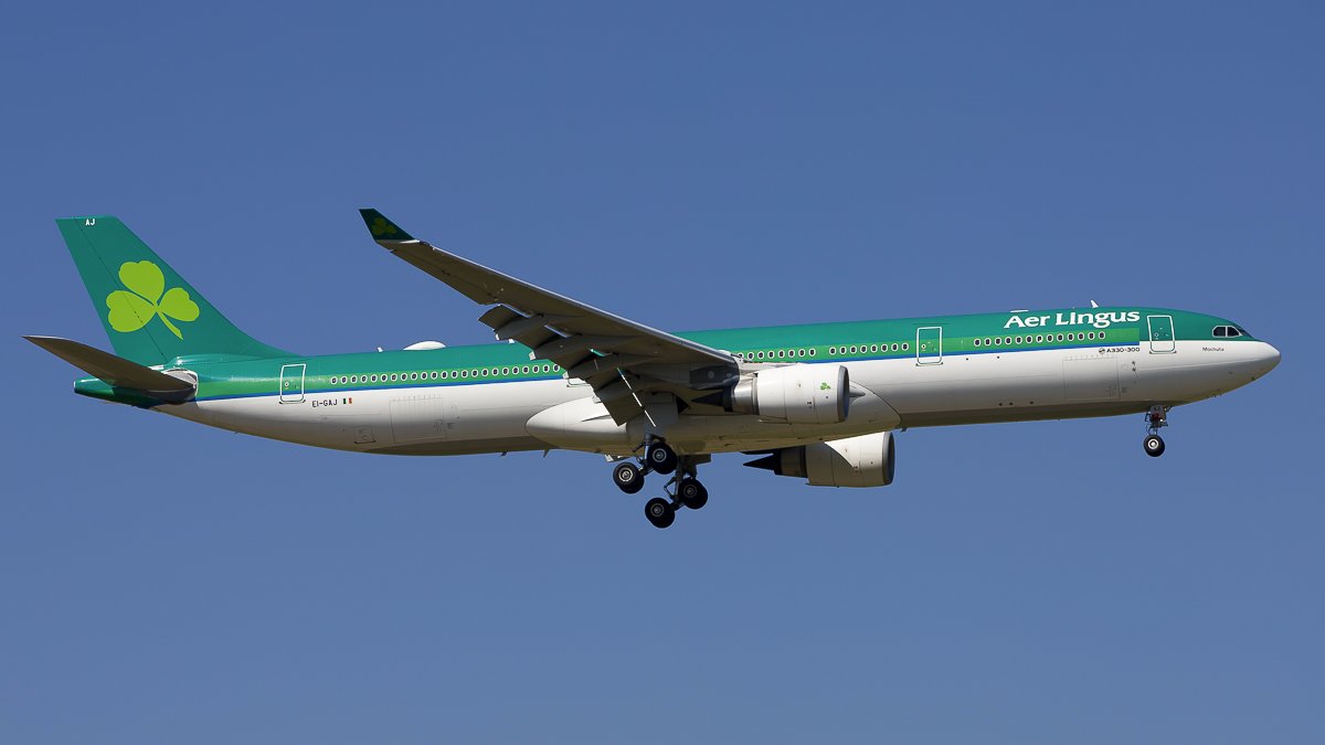 1 ei-gaj.jpg