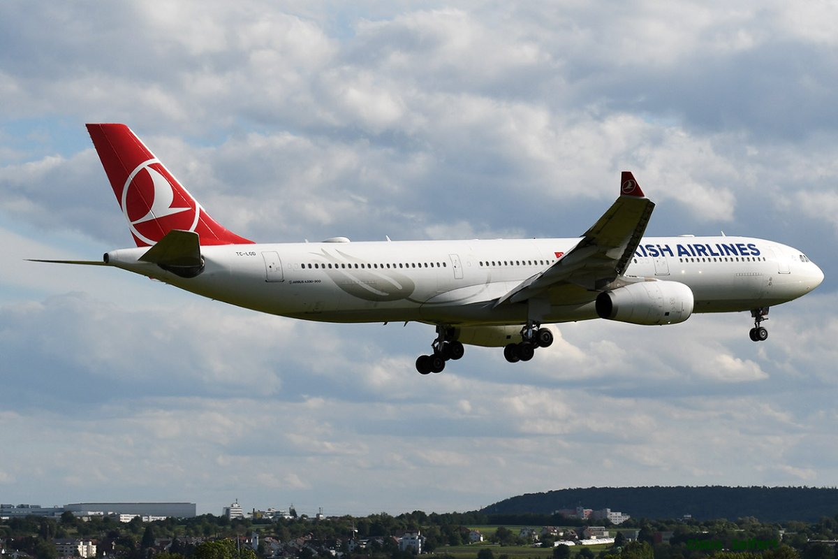 TC-LOD.3.jpg