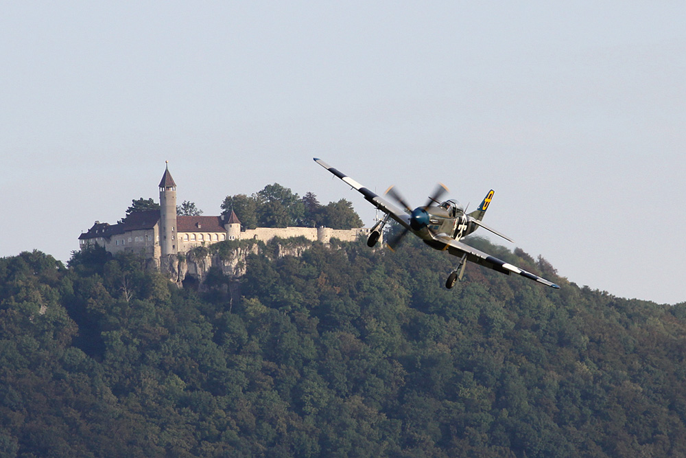 P51.jpg
