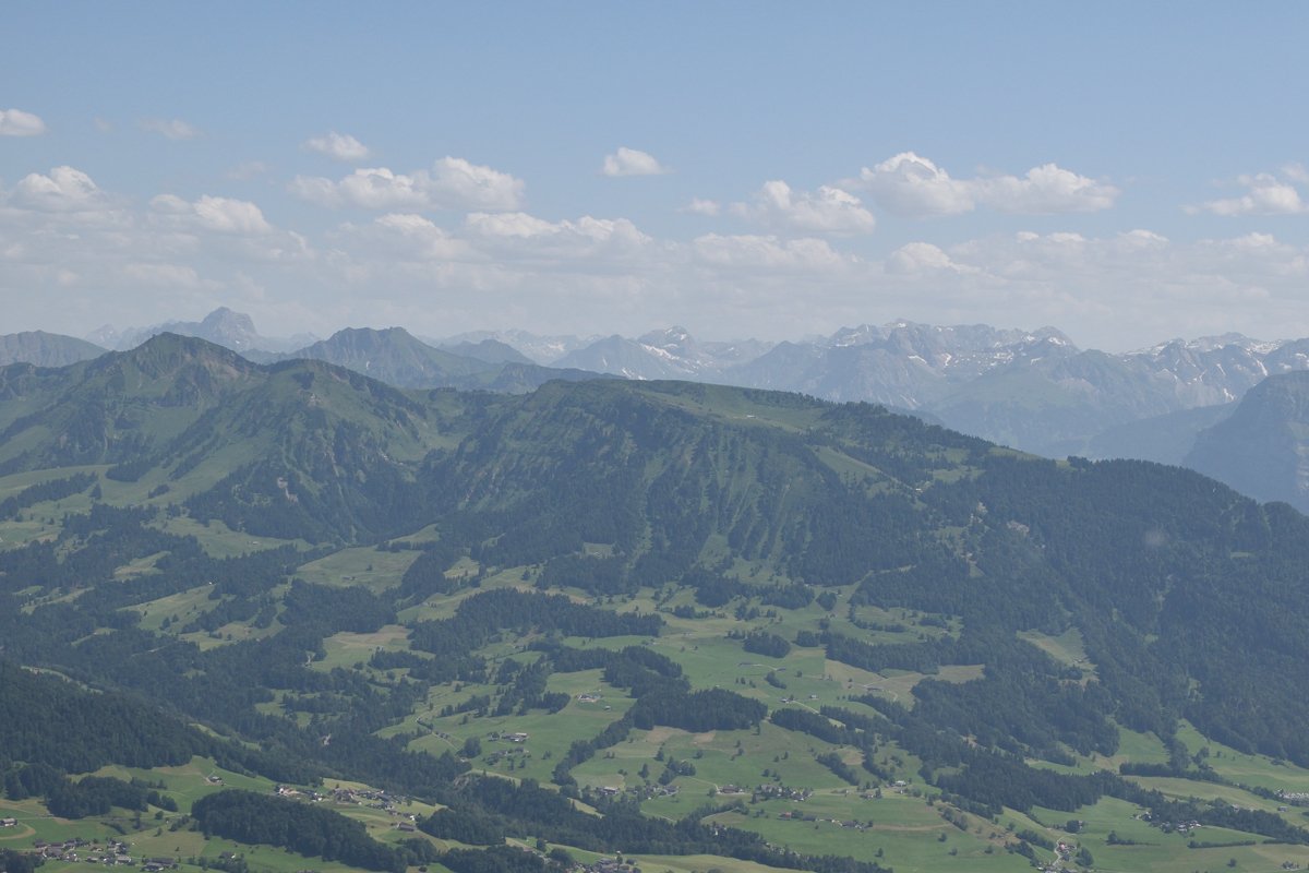 DSC_8199.jpg