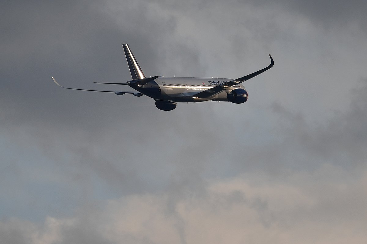 K_FKS_3779.jpg