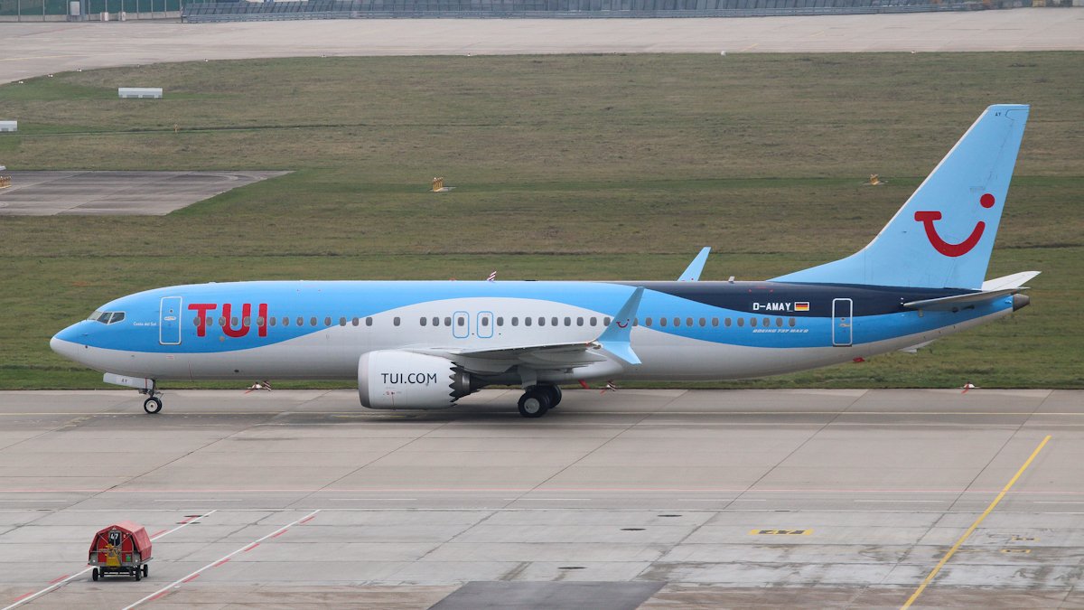 D-AMAY.jpg