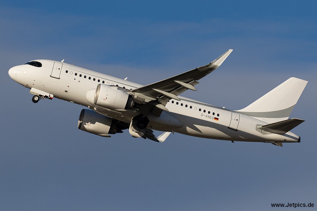 D-ANEO130123c.jpg