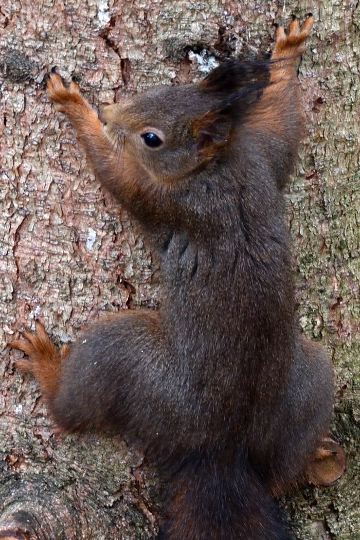 DSC_7806.jpg