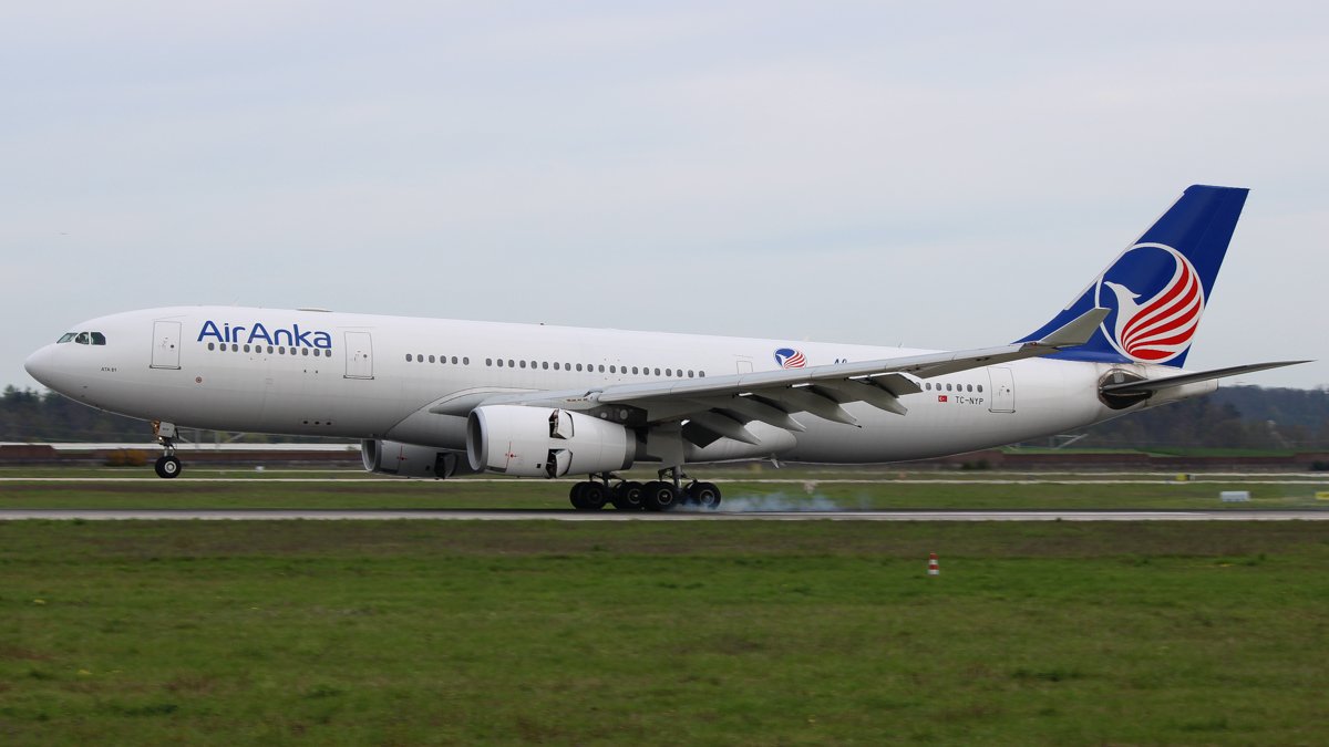TC-NYP2.jpg