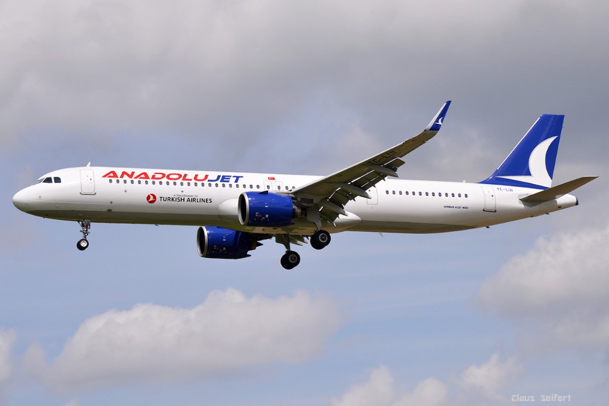 TC-LUI .jpg