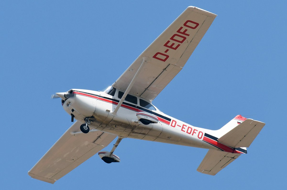 D-EDFO.jpg