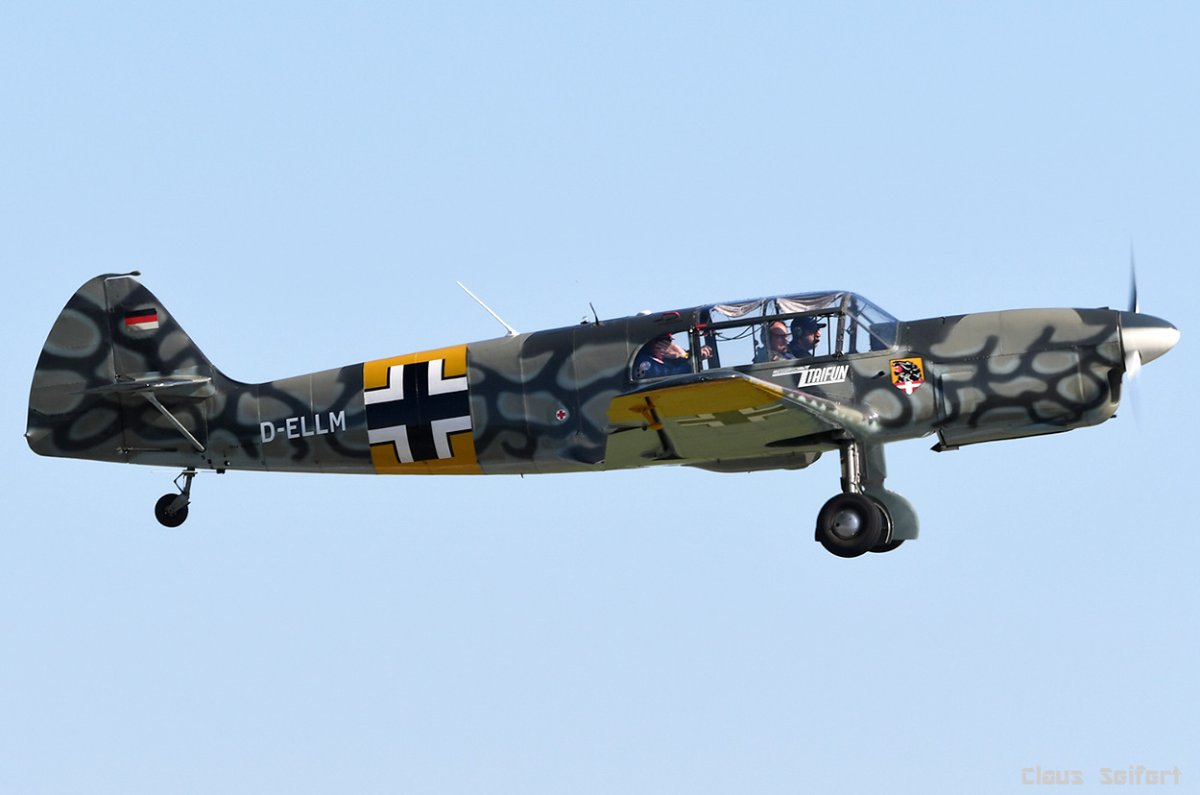 D-ELLM.jpg