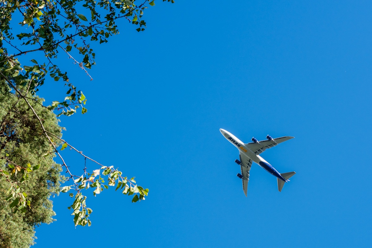 Q1000011-2.jpg