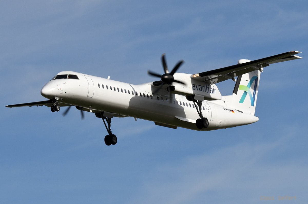 D-AASH.jpg