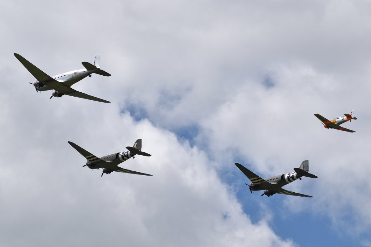 DSC_7431_01.jpg