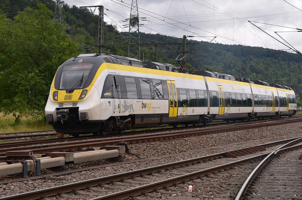 442 705.jpg
