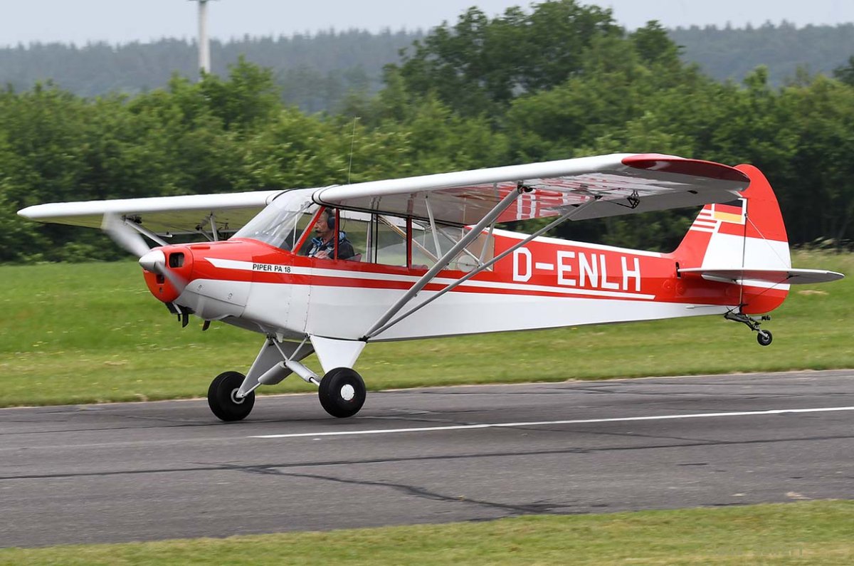 D-ENLH .jpg