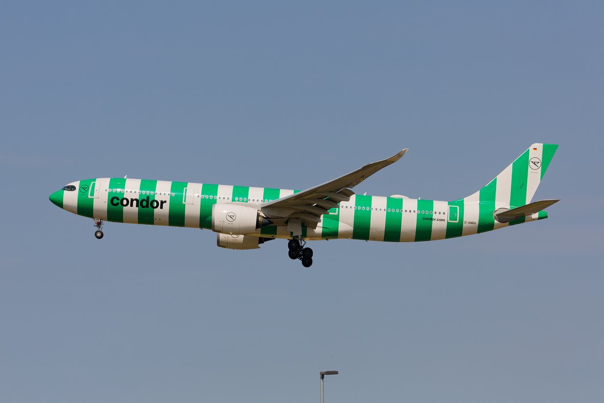 W26B4989_DxO_small.jpg