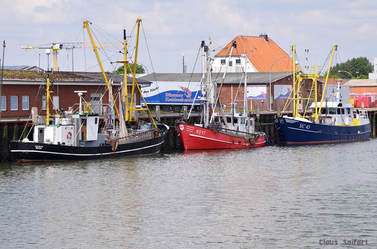 JAN MAAT (211315620) SD17 SC 43 .jpg