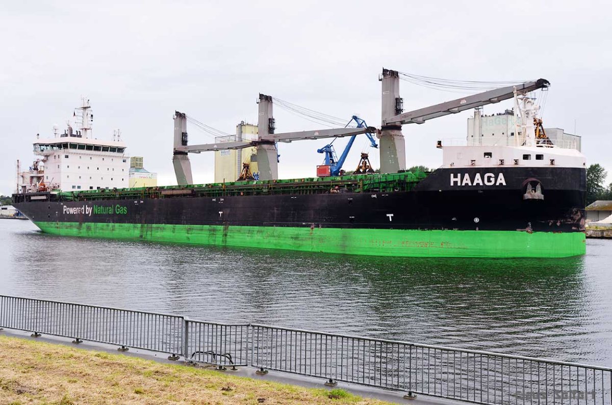 HAAGA (9797632).jpg