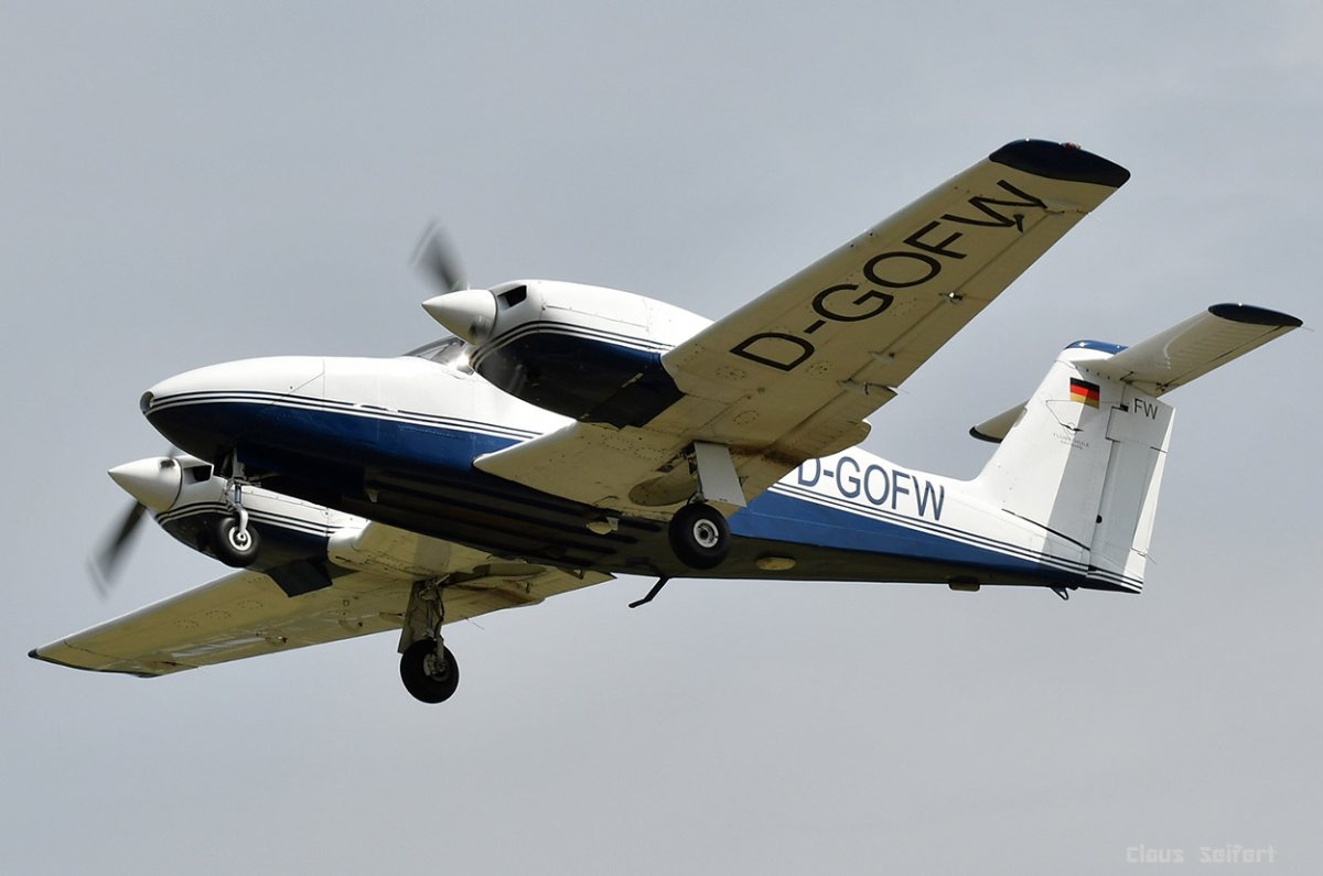 D-GOFW .jpg