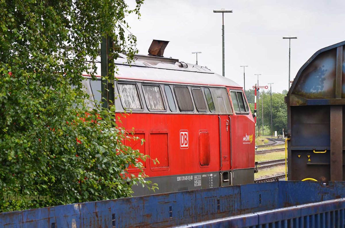 218 491-9.jpg