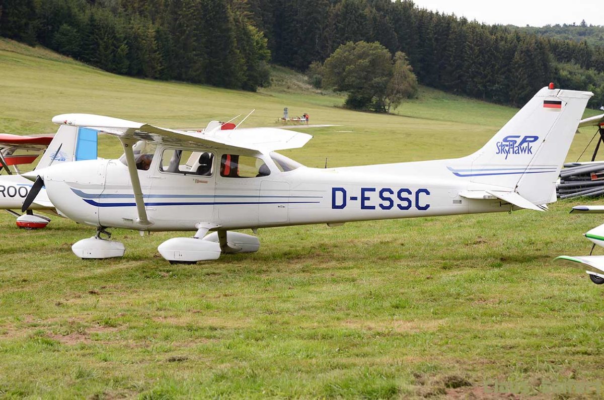 D-ESSC.jpg