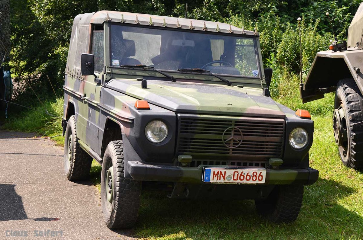 MB G WOLF.jpg
