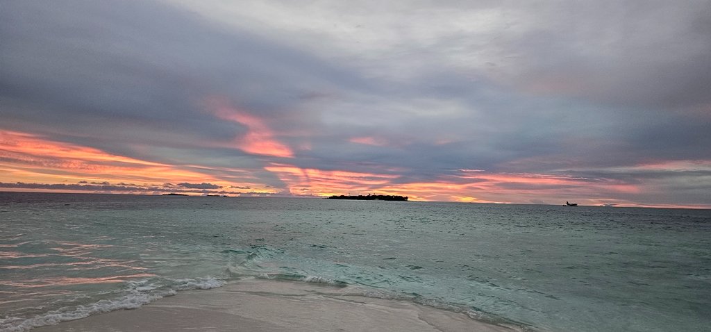 20241122_180105.jpg