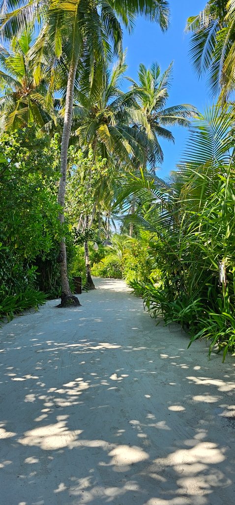 20241123_091508.jpg