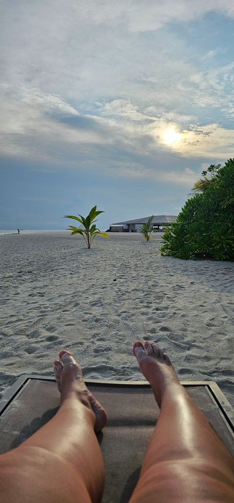 20241125_164812.jpg