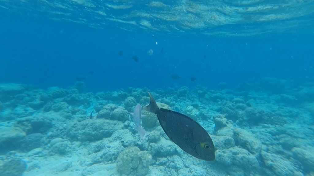 VideoCapture_20241130-174225.jpg