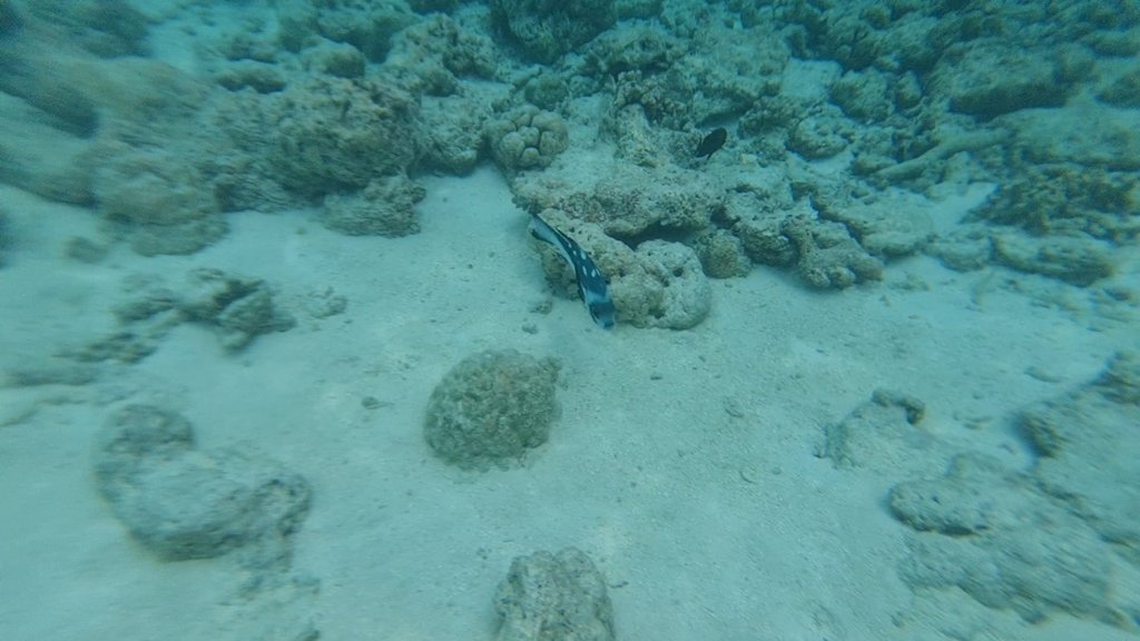 VideoCapture_20241130-174817.jpg