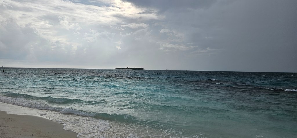 20241127_161938.jpg