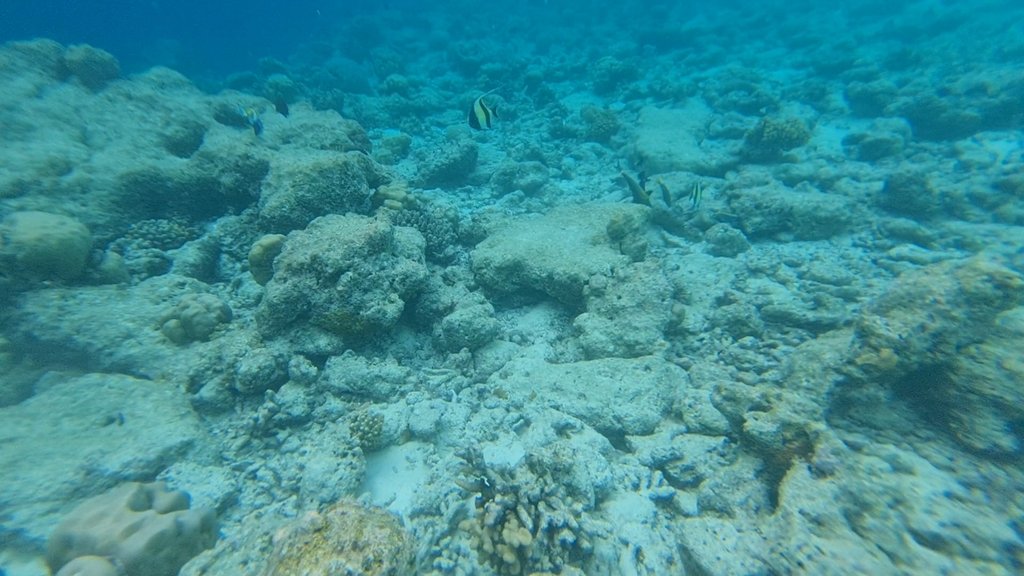 VideoCapture_20241130-175726.jpg