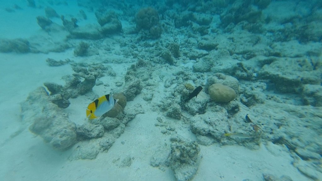VideoCapture_20241130-175957.jpg