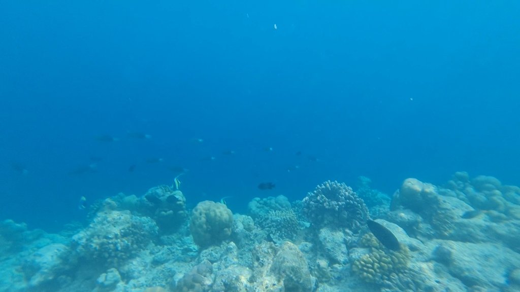VideoCapture_20241130-180739.jpg