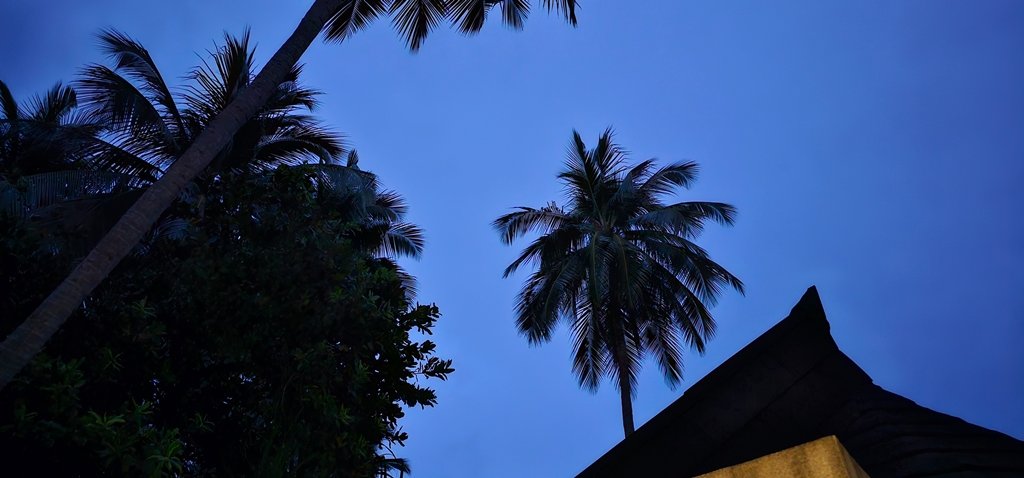20241127_181512.jpg