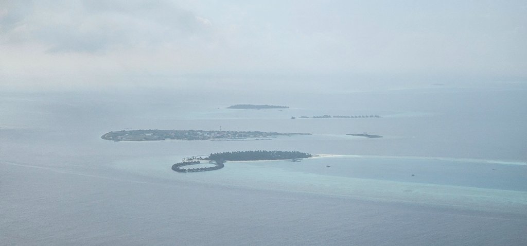 20241128_082946.jpg