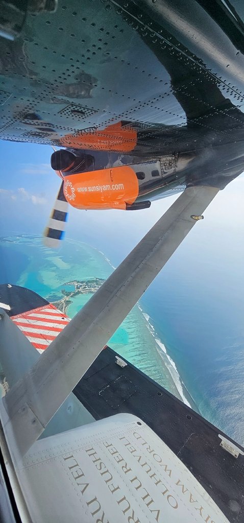 20241128_085242.jpg