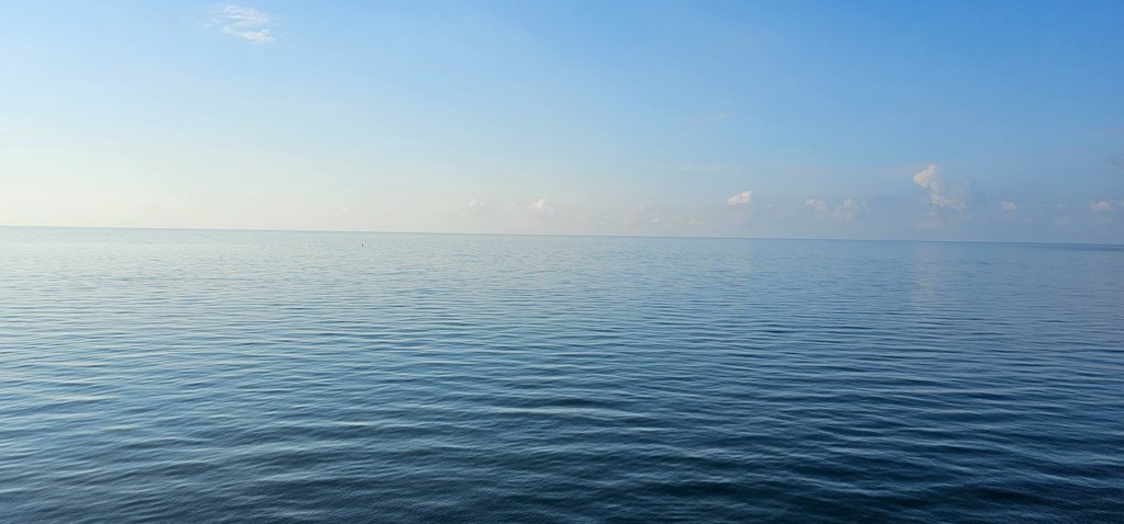 20250111_080151.jpg