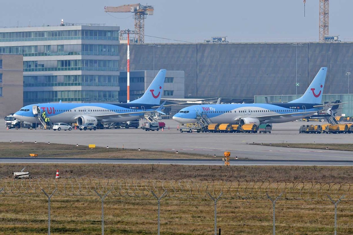 D-AMAZ D-ATUN.jpg