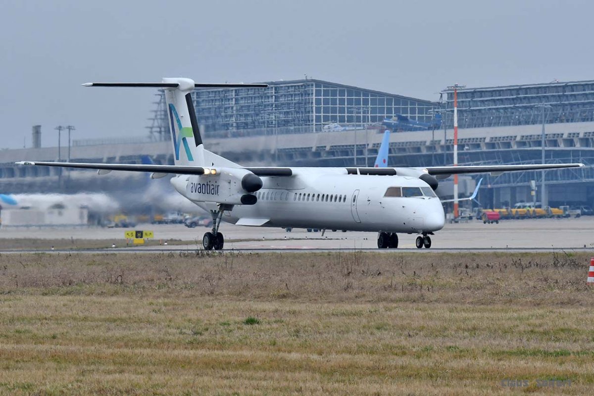 D-AASH.jpg